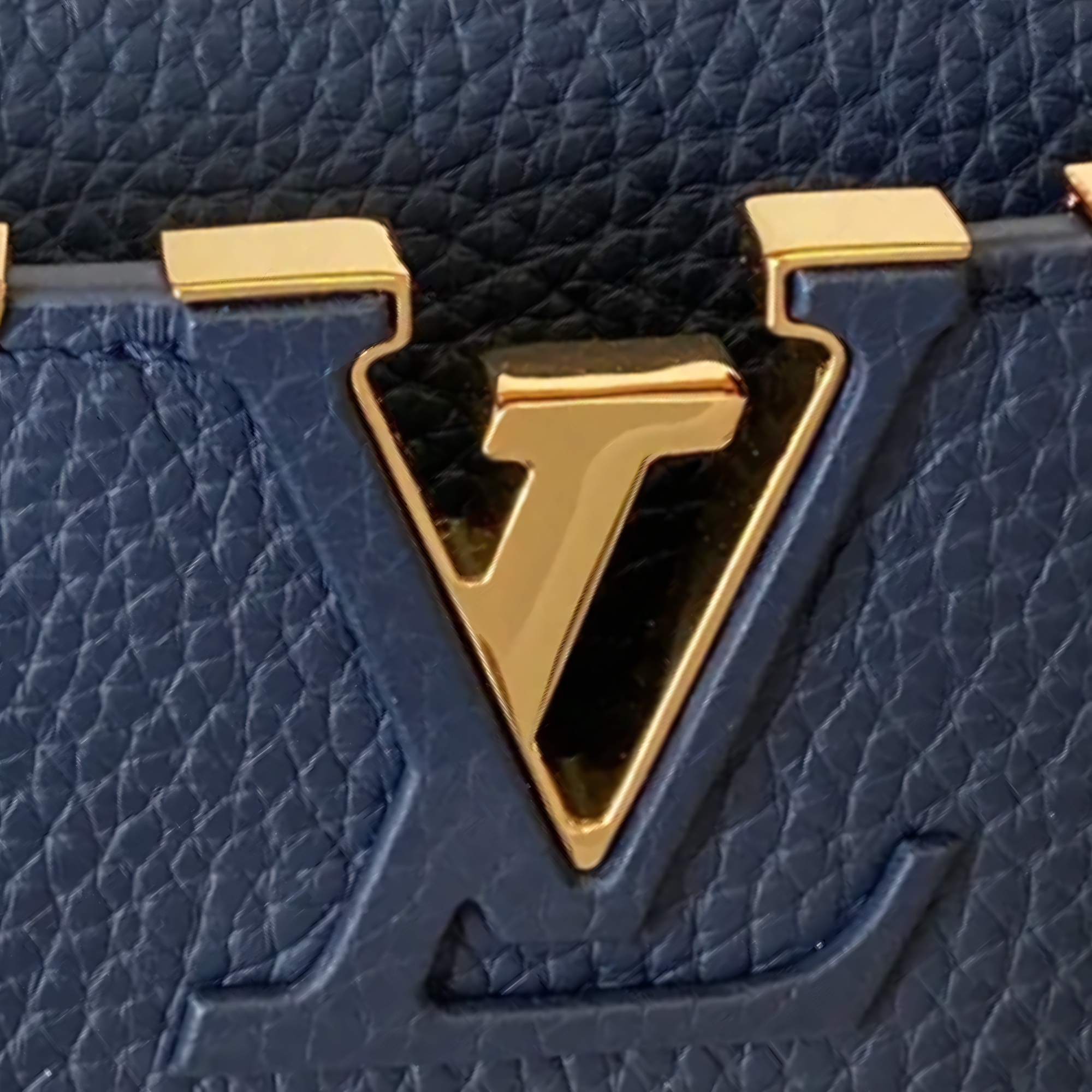 Louis Vuitton Bag | Ćapucines Taurillon Black
