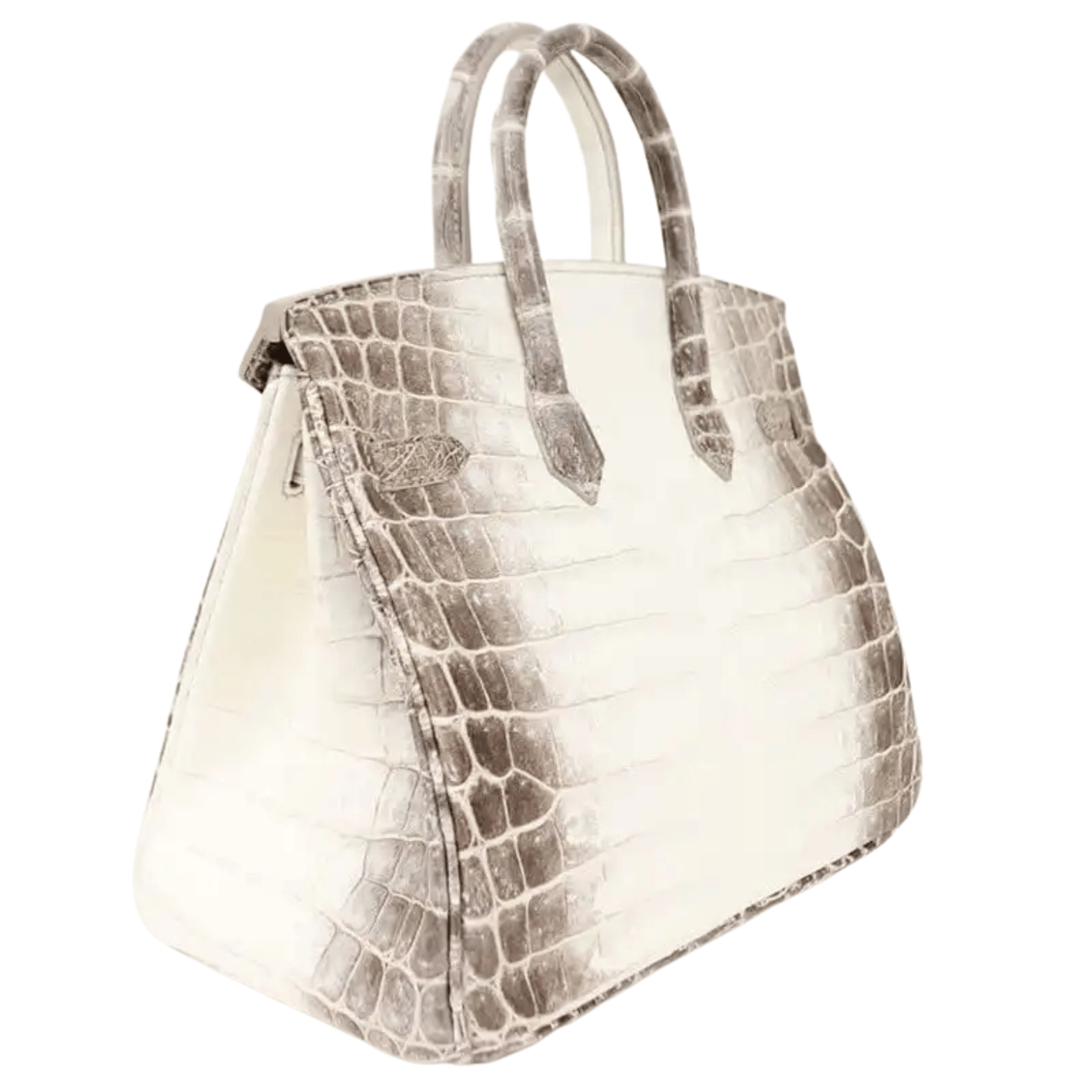 Hermès Bag | Birkin 30 Himalaya Niloticus Crocodile